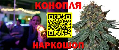 прущие грибы Обнинск