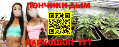 прущие грибы Обнинск