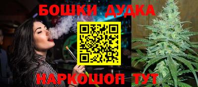 прущие грибы Обнинск
