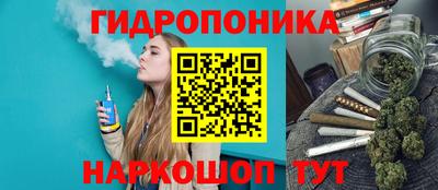 прущие крисы Обь