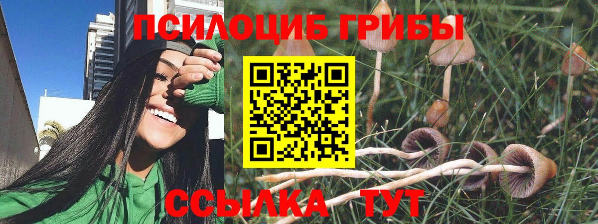 что такое наркотик  Вход с VPN  Реж  Галлюциногенные грибы Psilocybine cubensis 